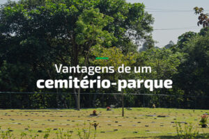 Vantagens de um cemitério-parque