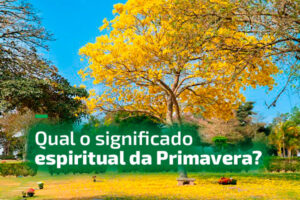 Qual o significado espiritual da Primavera