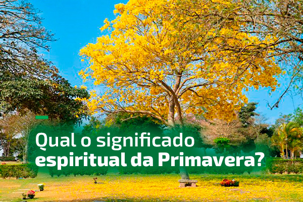 Qual o significado espiritual da Primavera