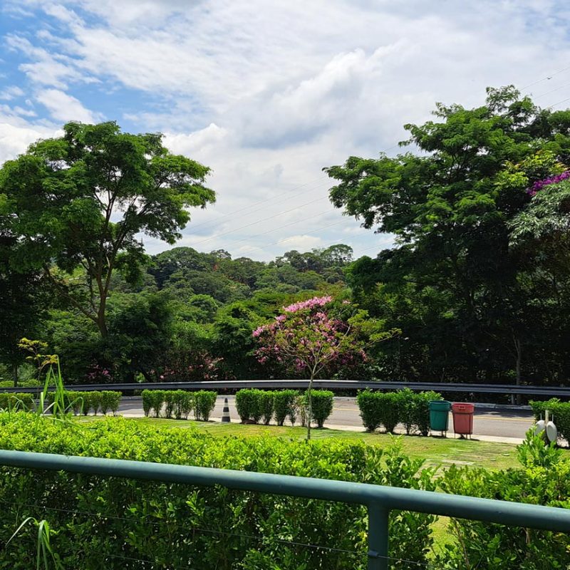 Memorial Parque Jaraguá Memorial Parque Jaraguá