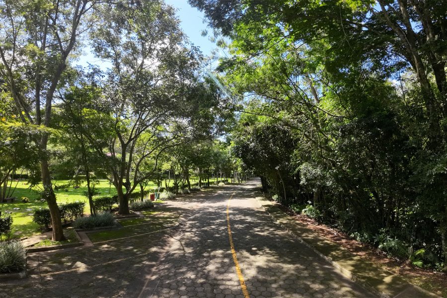Memorial Parque Jaraguá