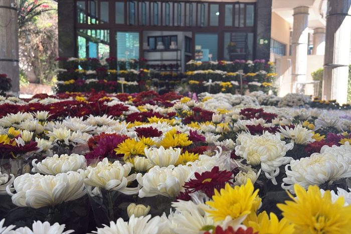 Floricultura do Memorial Parque Jaraguá