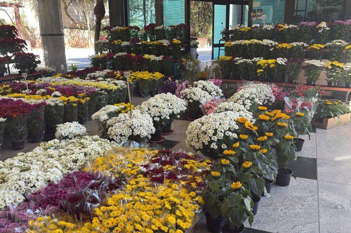 Floricultura do Memorial Parque Jaraguá