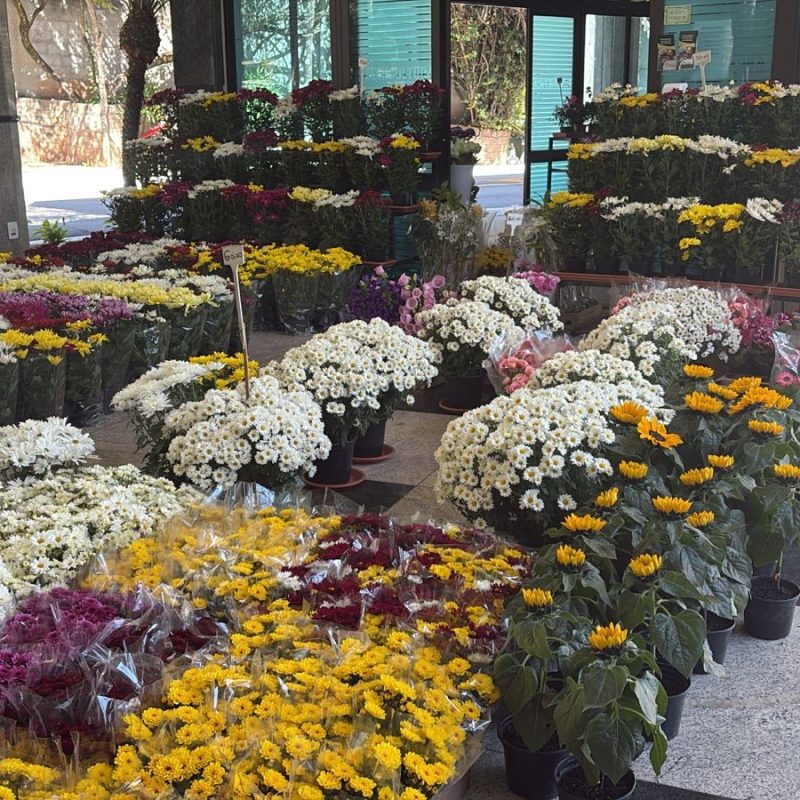 Floricultura do Memorial Parque Jaraguá Floricultura do Memorial Parque Jaraguá