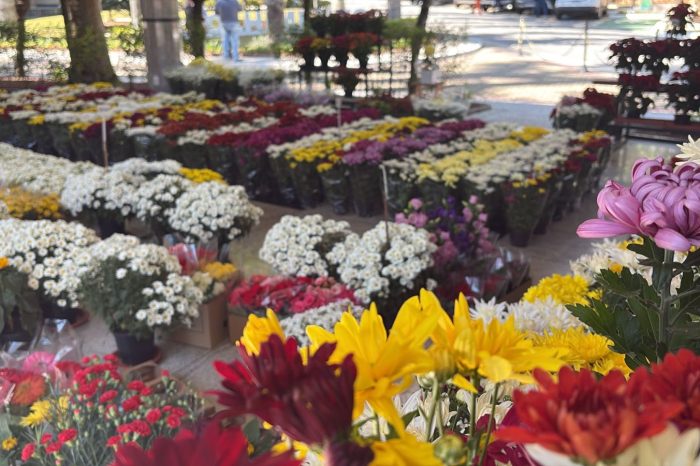 Floricultura do Memorial Parque Jaraguá